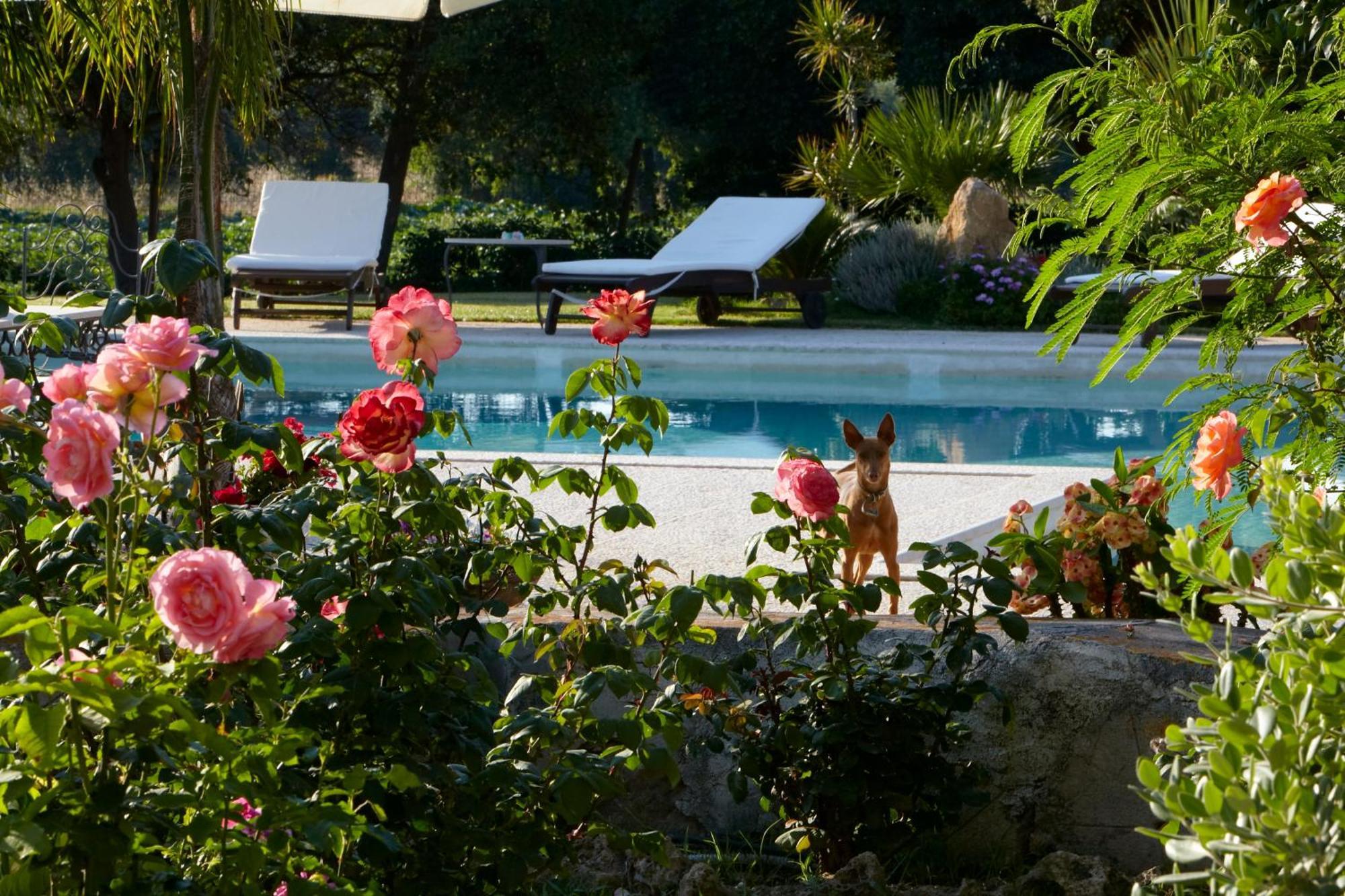 Baglio Sant'Andrea Bed and Breakfast Valderice Buitenkant foto